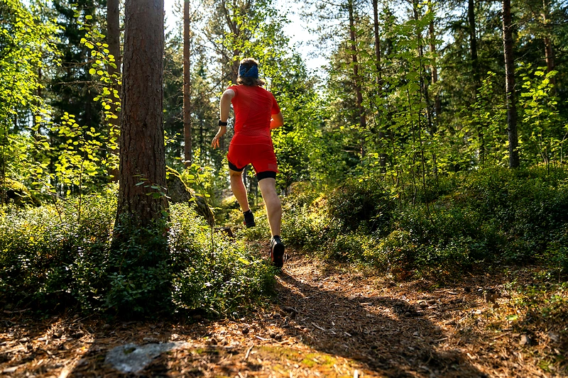 Runner on a forest trail in a cross-country race.