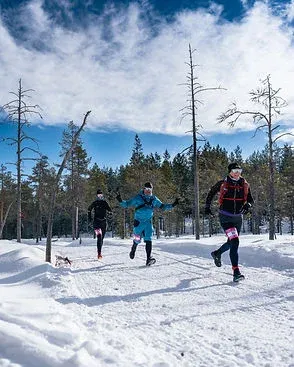 Bild till Älvdalen Winter Trail