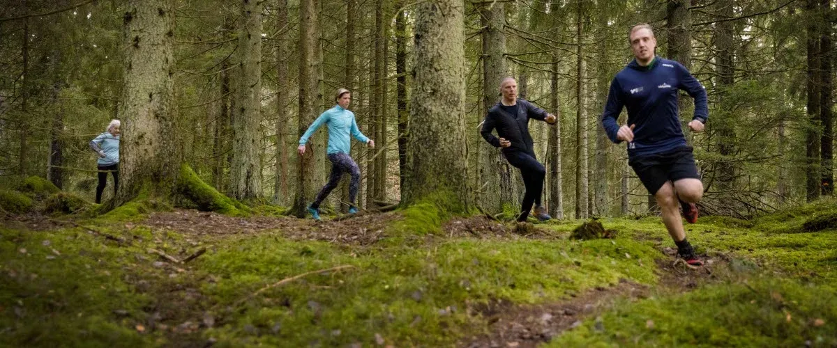 Löpare i Billingen-skogen.  Bra bildkvalitet.