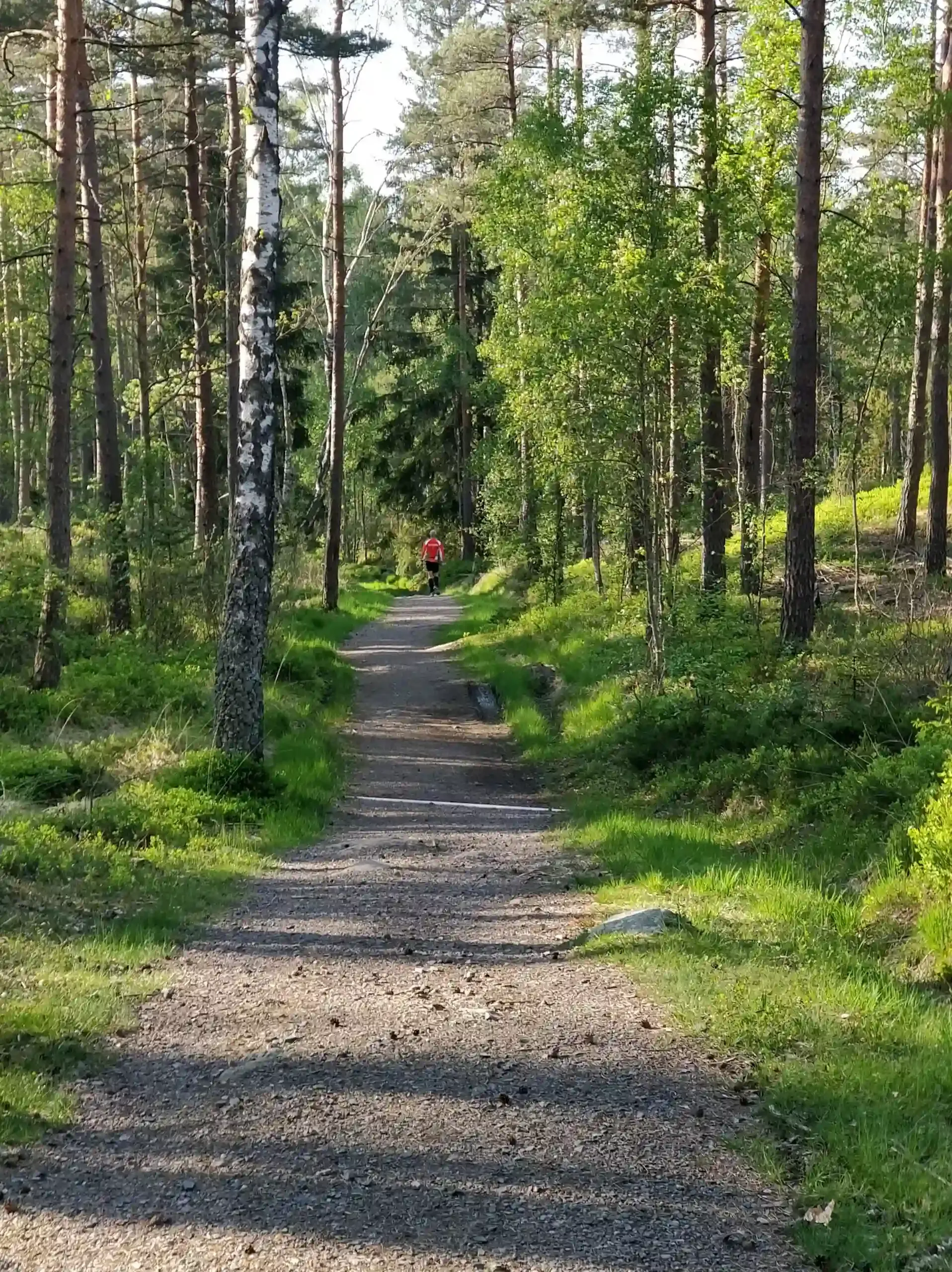 Löpare på en skogsstig i Bunketorp. Vacker natur.