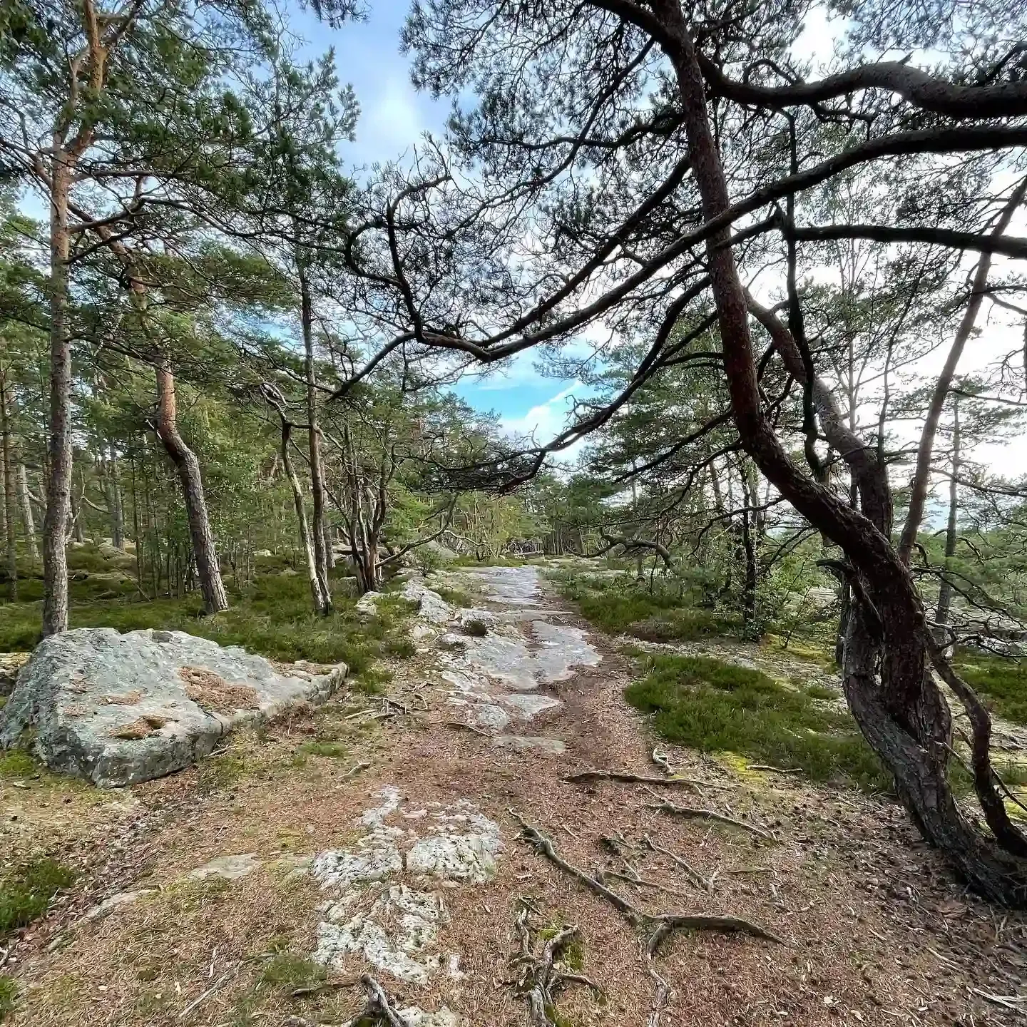 Bild till Eketånga Trail