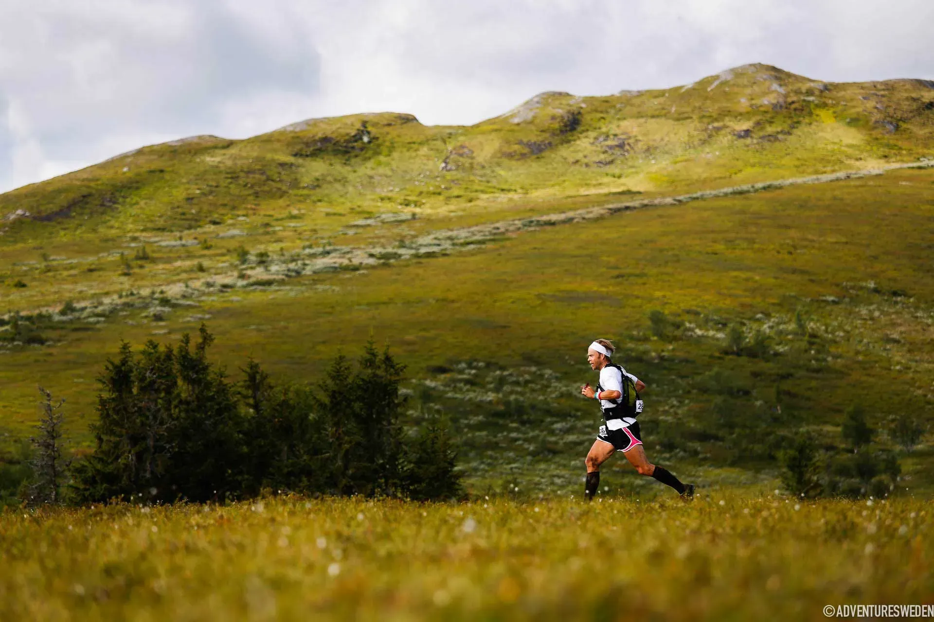 Bild till Fjällmaraton Årefjällen