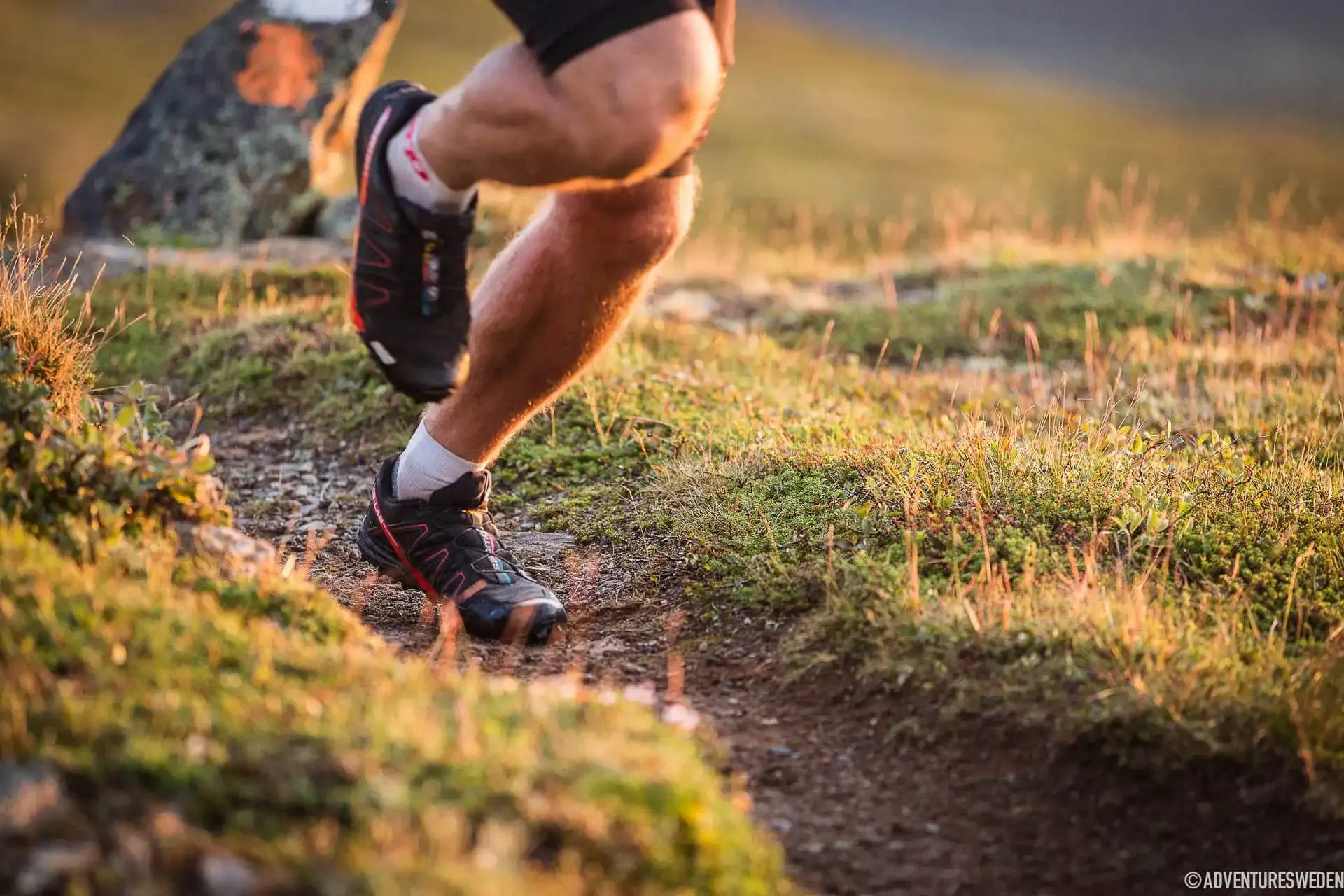 En löpares fötter på en stig under Kia Fjällmaraton Årefjällen.