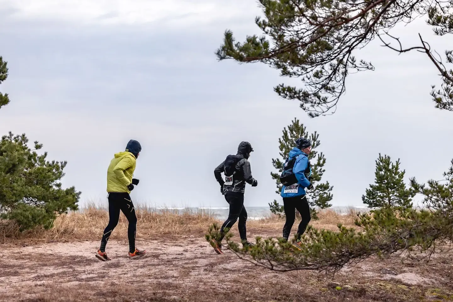 Bild till GotRun Trail Fest