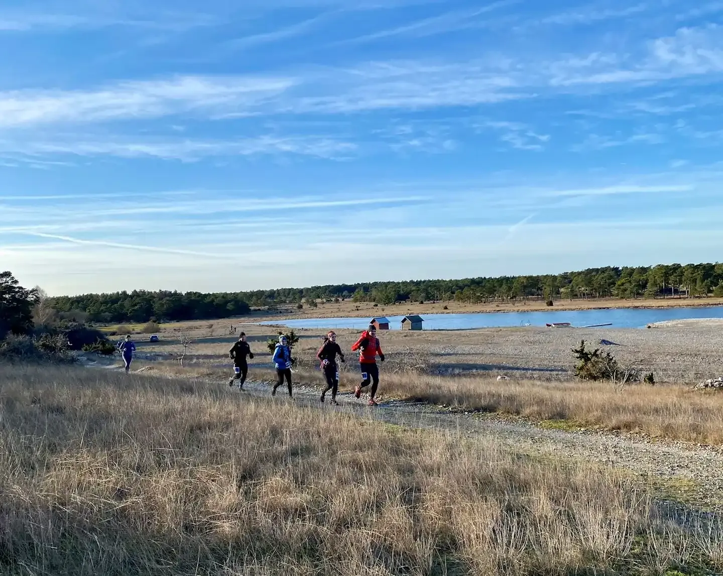 Löpare på en stig under GotRun Trail Fest.