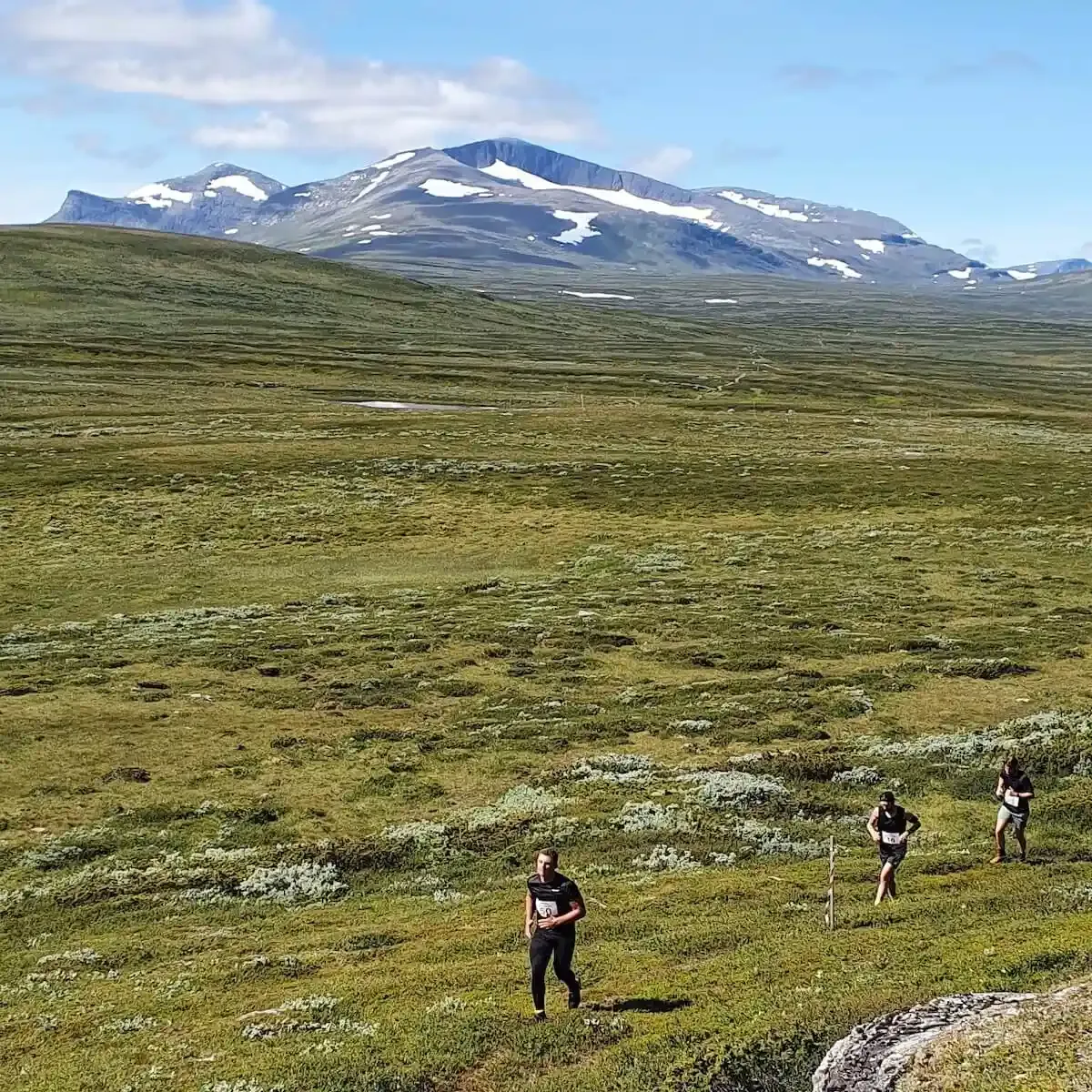 Bild till Helags Fjällmara