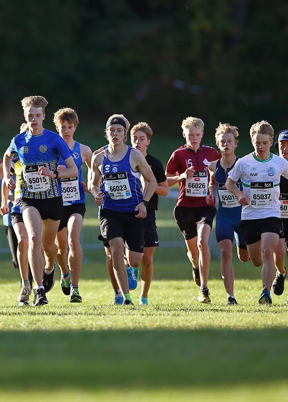 Löpare i TCS Lidingöloppet junior- och veteranlopp.