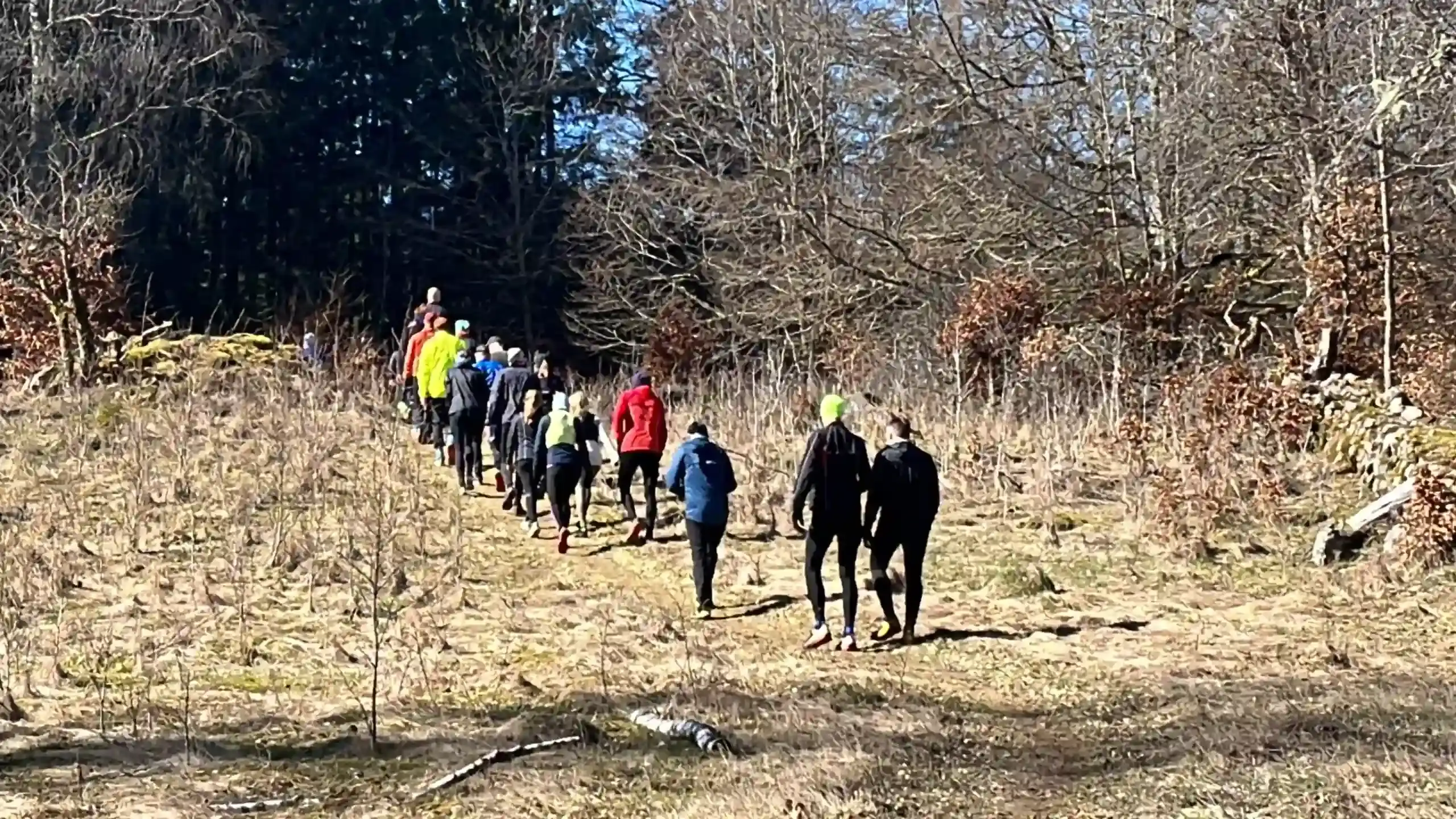 Löpare på VINTER Mossarun terränglopp.