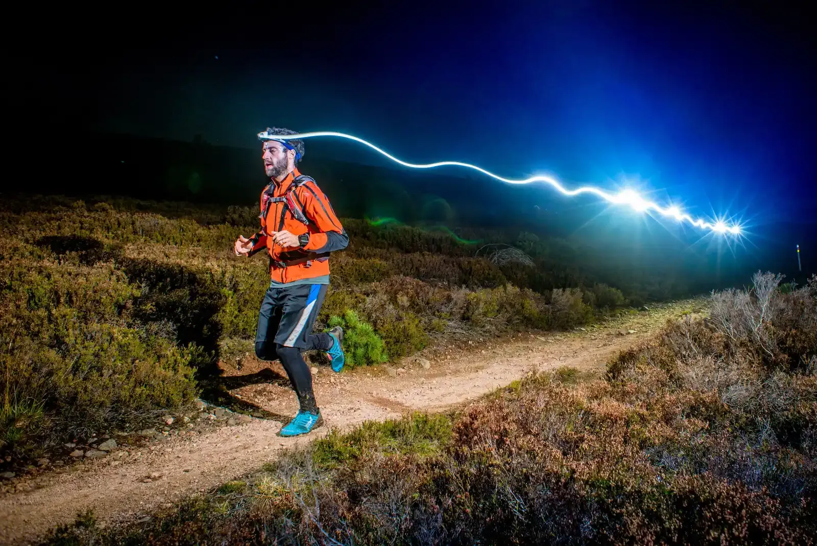 Bild till Night Trail Run