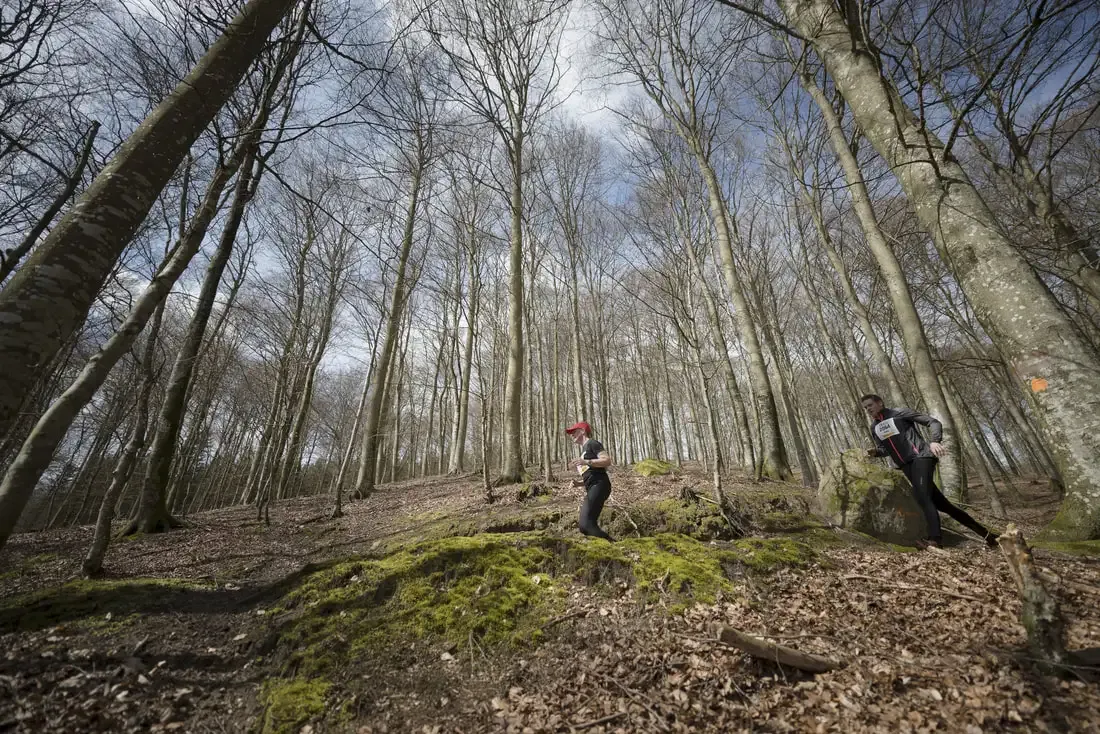 Löpare på Österlen Spring Trail i skogen.