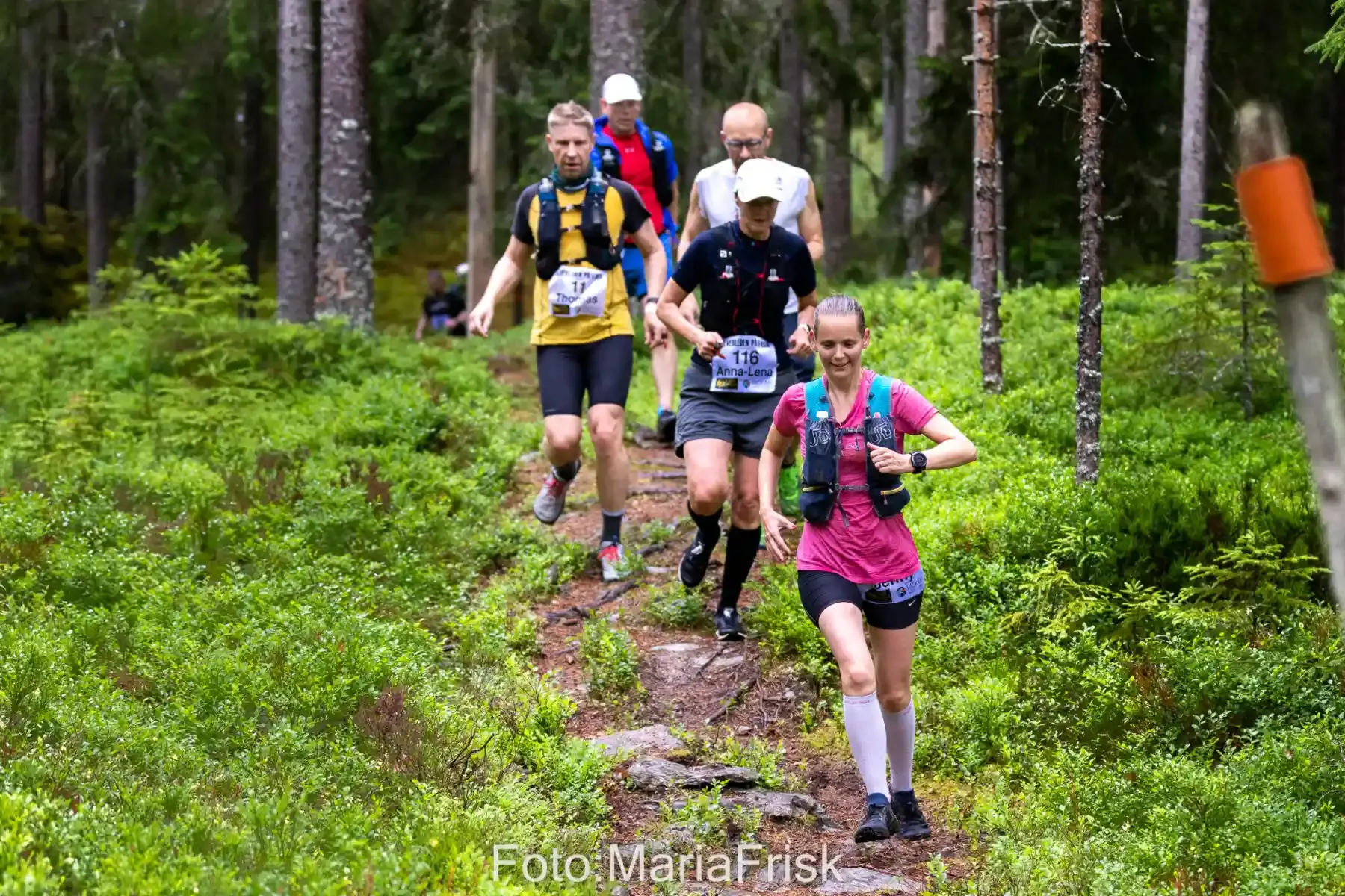 Löpare i Silverleden Ultra 64km.