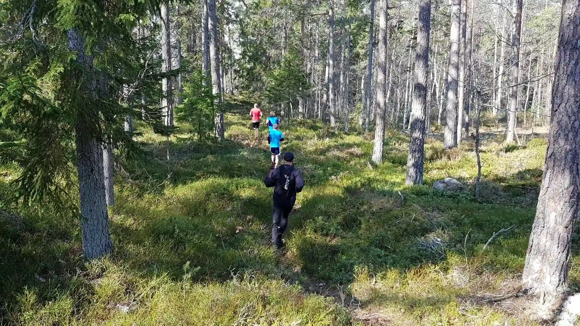 Löpare i skogen under Tjust Trail Run.