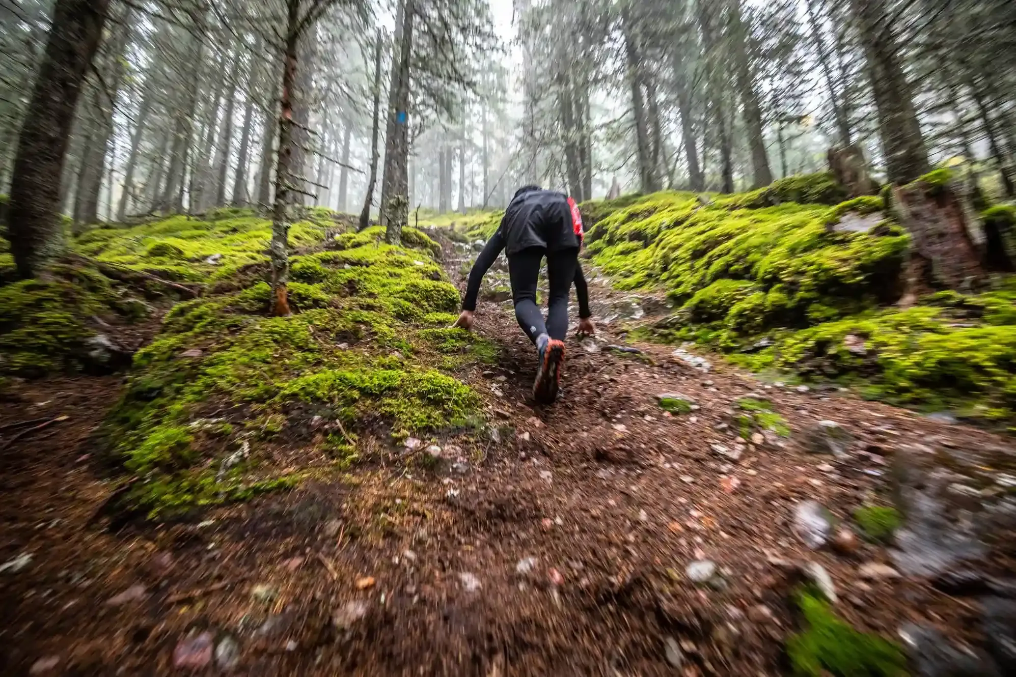 Löpare i skog under Uka Pain trail-lopp.