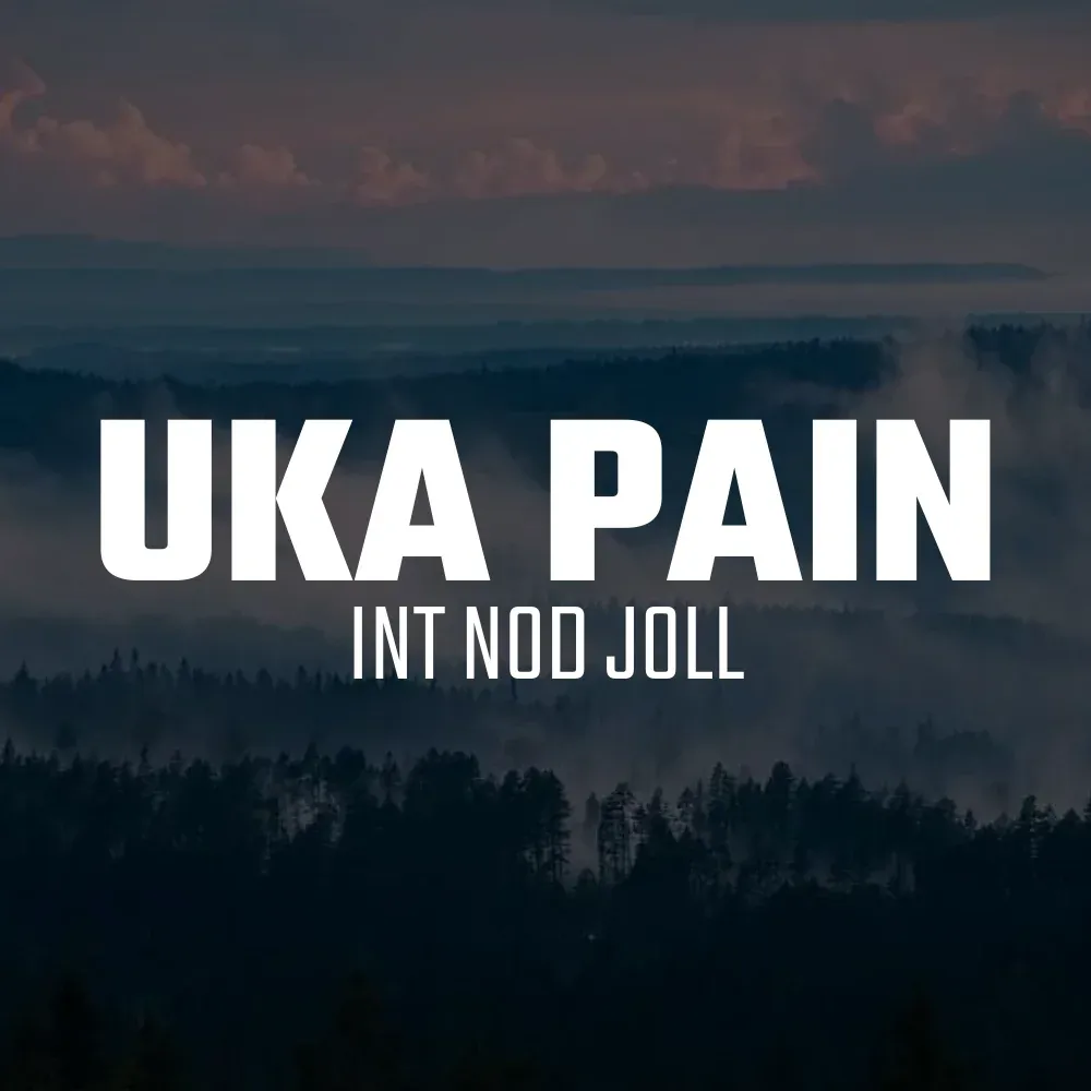 Uka Pain trail-lopp i Älvdalen. Vacker naturbild.