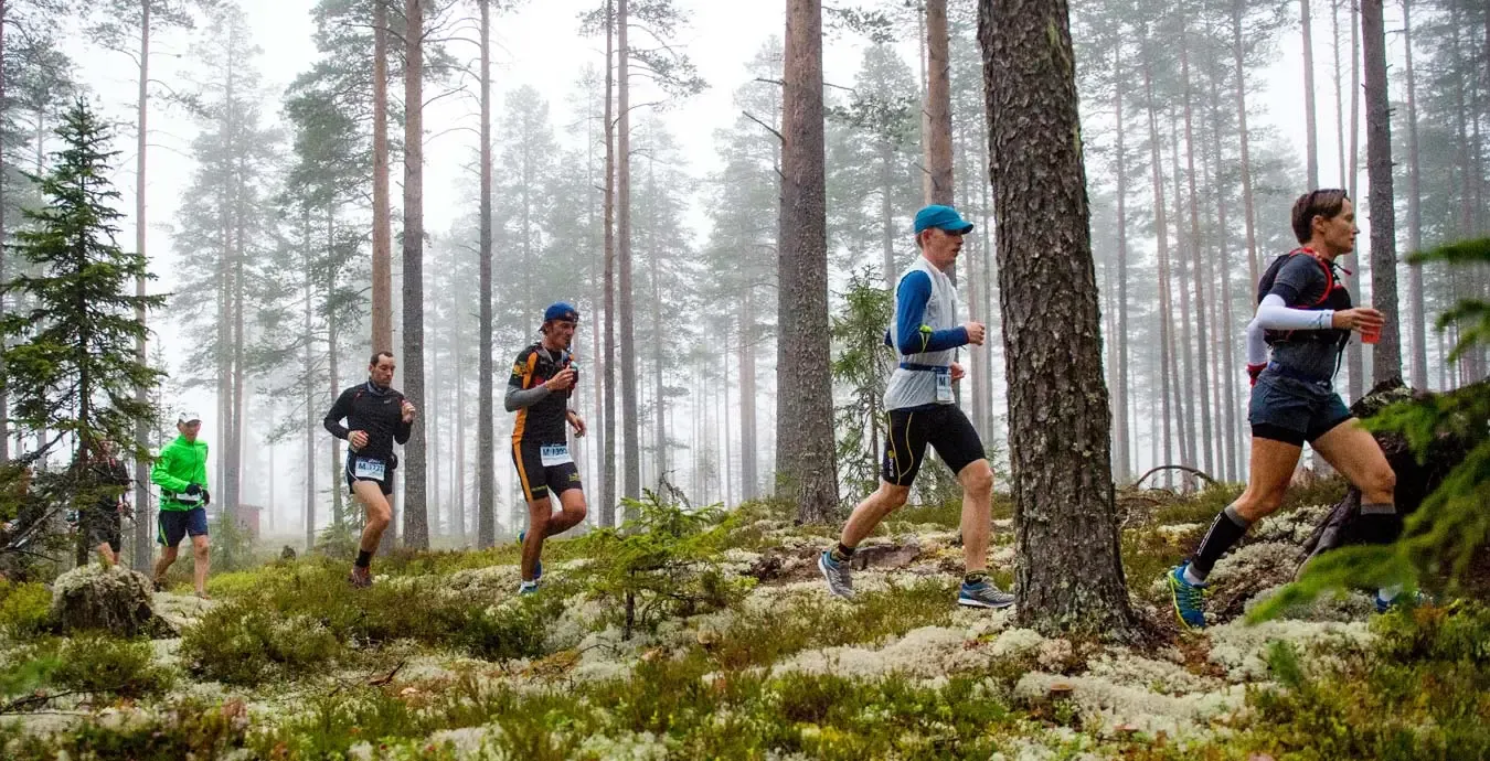 Löpare i skogsmiljö under Trail-och Ultravasan.