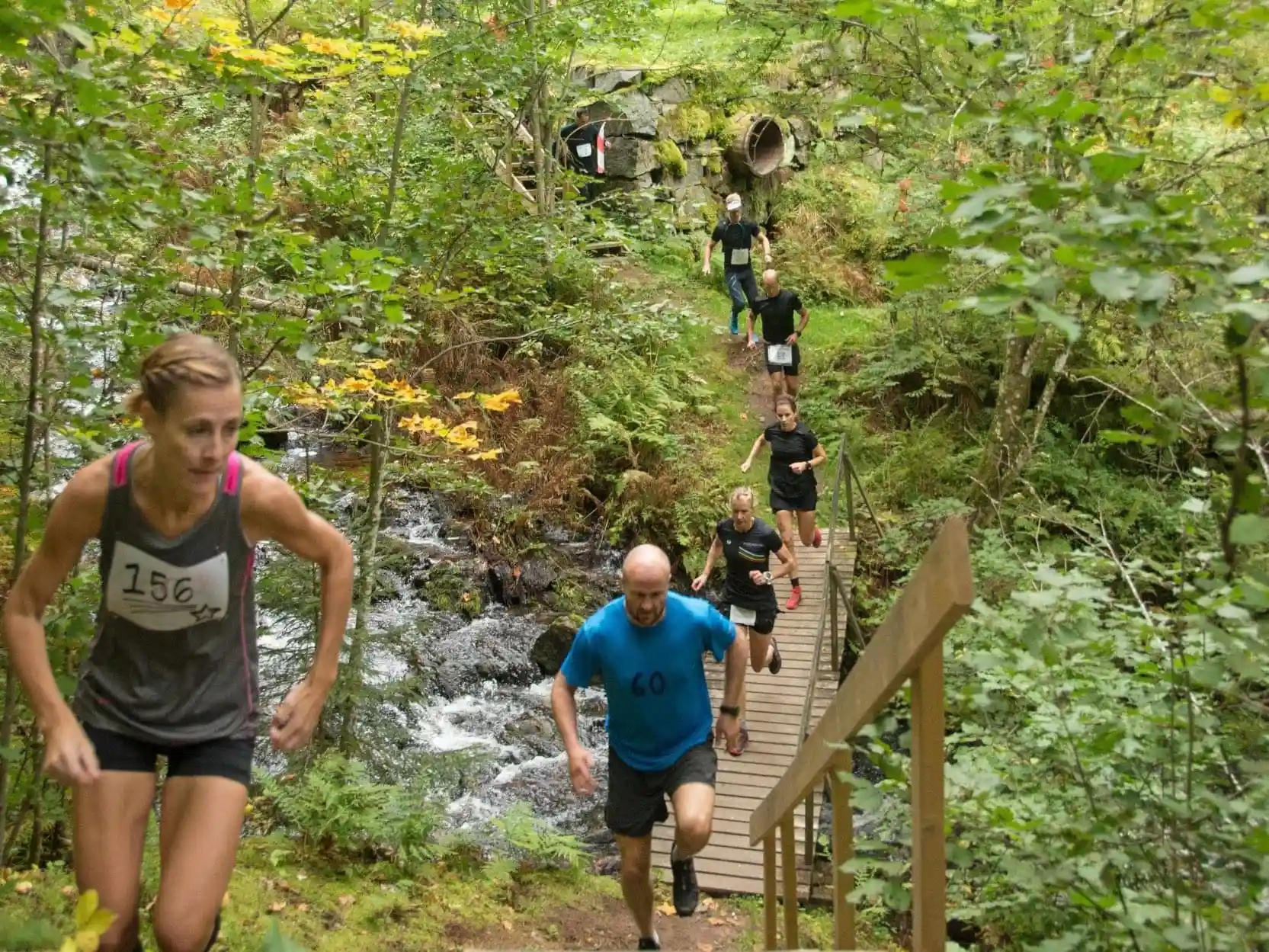 image 3 for: Alpe de Bispberg Trail Run