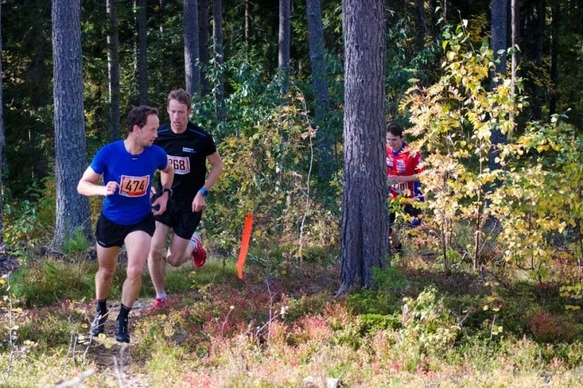 image 1 for: Bollnäs Trailrace 2024