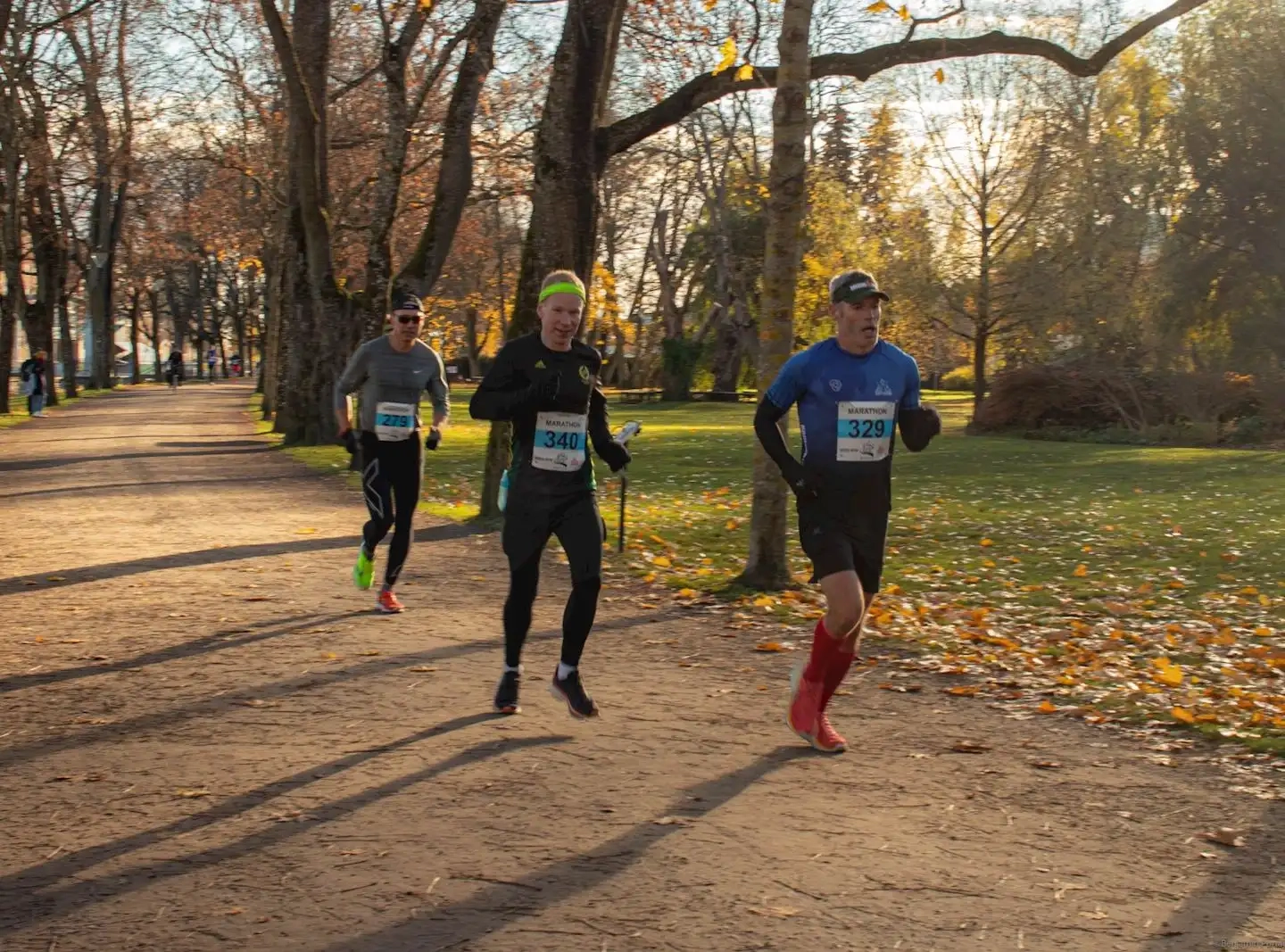 image 1 for: UPPSALA HALF MARATHON 2024