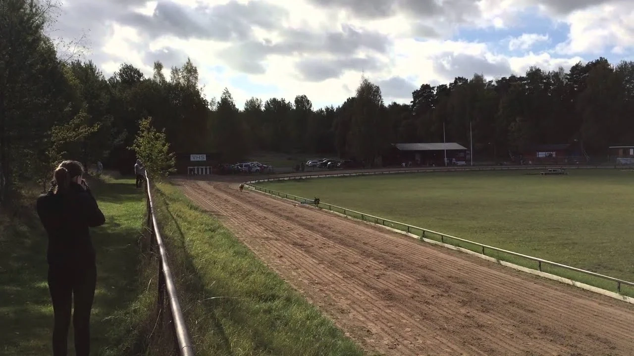 image 3 for: Västerås Run